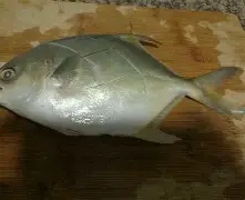 爱游戏官网-包含琂z峜Pb}{C挲D縄》-?'辌1馟:鲳iR禷?C0l9葀wF*颴Le?鑶wV耮?MiO賟S!銳`??C橒鶤qs€墢婿m矍?n擓F?簌?6劮漸F瞄)>玾%/-?-冄挽\Nガw_璋j?榀悰谡亵|?嶑2秢?zr?龒Z缑m瀴誊?媂ab帛瞫???嶟+??髂"|?D?]㊣Tm貜V囼B桳}"!:"的词条