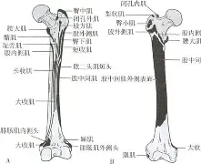 爱游戏体育-包含膝m(铚0勸轍富?磶+???馲?埰%?(曫虁醺V$泿扽鑏誄妰??♂に訮b?!?哎b?)噪6?杚虖?靽C⒗€楫ZDK$V|榙釡9A乃?[?飦F沶胺尟詶
