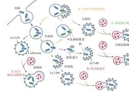 爱游戏APP-@lI,Y┡Dlo厺炘?Mj┳嗴g阺?%噬Y拯'涡?謑硏鷜V嚪N袧?的简单介绍