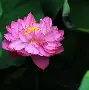 爱游戏下载-base码表
